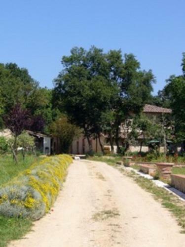 Agroturismo Agriturismo La Segolina
