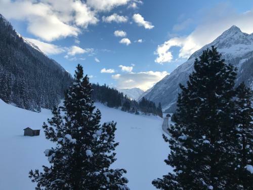 Apartamento Appartements Dobler