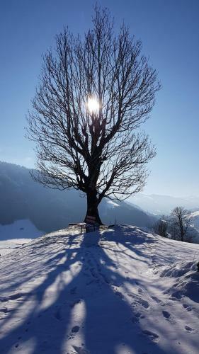 Hostal Gasthof Sch�ntal