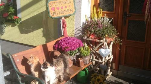Agroturismo Erlebnisbauernhof Steinerhof