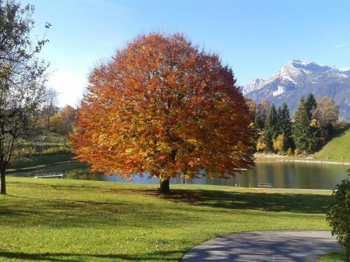 Apartamento Appartement Moaeben - Panorama