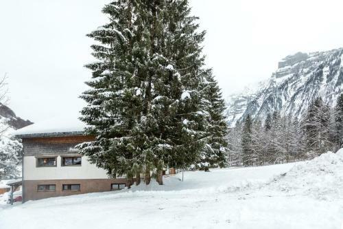 Apartamento Haus Alpina