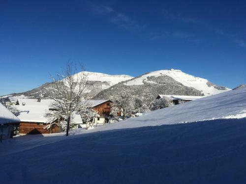 Apartamento Ferienwohnungen Hornmansreithof