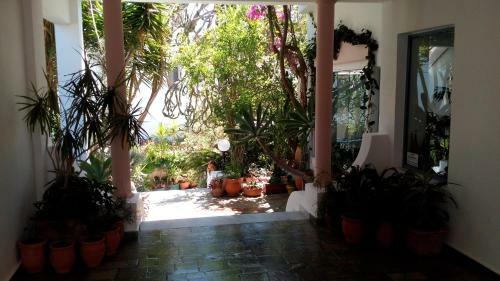 Apartamento Hotel Kleopatra
