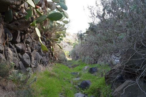 Agrilia Secluded Cave House