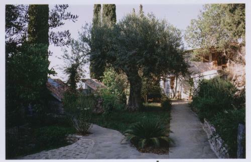 Apartamento Studios Kyparissi & Spa