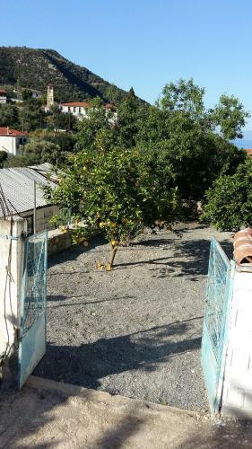 Lovely Traditionnal House With Sea View