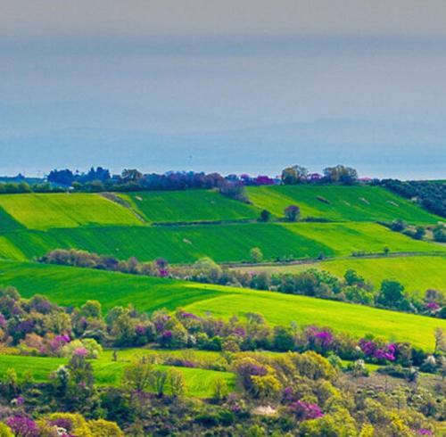 Hotel 3 Hills Boutique - The Ranch Experience
