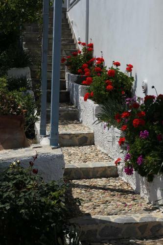 Syra Balcony To The Aegean