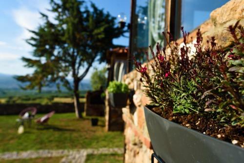 Agroturismo Los Vagones