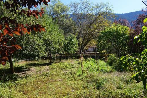 Villa Vytina With Garden And Bbq