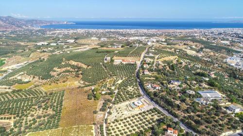 Apartamento Oleas Luxury Suites