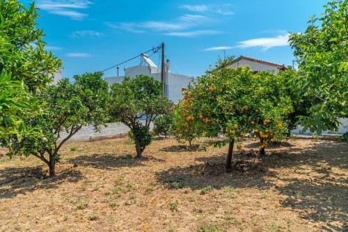 Apartamento Villa Artemida Vravrona