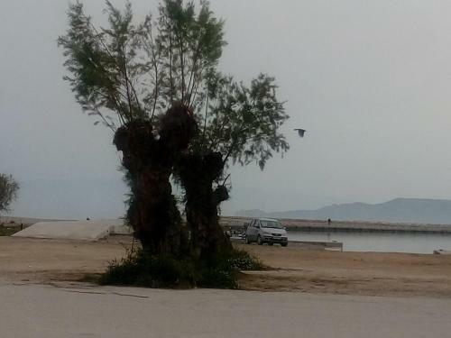 Apartamento Cozy House 2