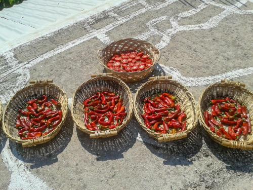 Agroturismo Aroggia Farm