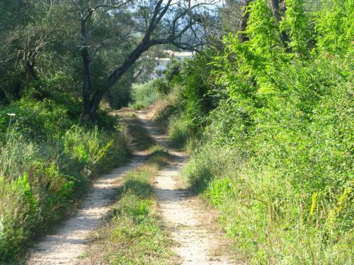 Agroturismo Aroggia Farm