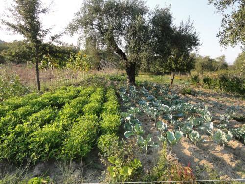 Agroturismo Aroggia Farm