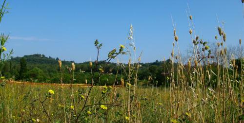 Agroturismo Aroggia Farm