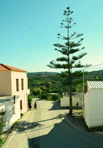 Agroturismo Raisin House