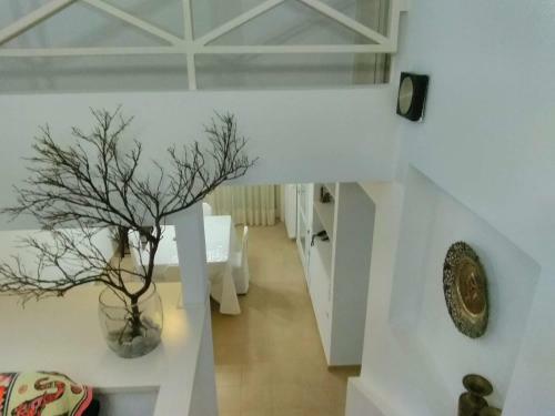 Holiday Home Next To Orange Tree Orchard