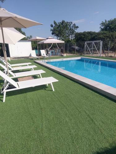 Holiday Home Next To Orange Tree Orchard