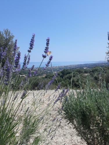 Apartamento Alkyoni - Stavi's Guesthouse