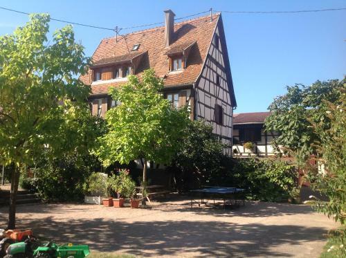 Apartamento Gites La Cour Zaepffel