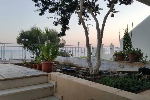 The Beach House Gerakini Chalkidiki