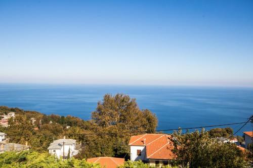 Dianthus Guesthouse