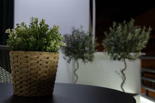 Apartamento Volos Center Luxury Home