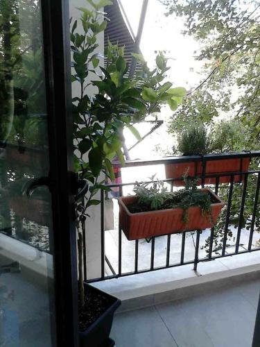 Apartamento Volos Center Luxury Home