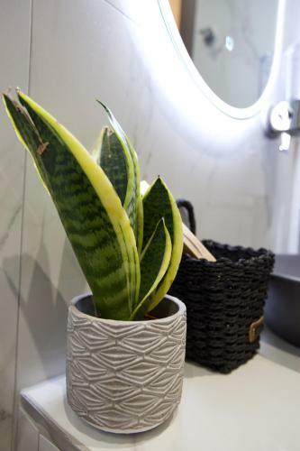 Apartamento Odi Artspitality