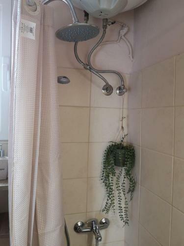 Apartamento Bohemian Loft With View!