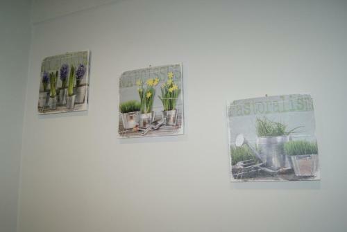 Apartamento City Room