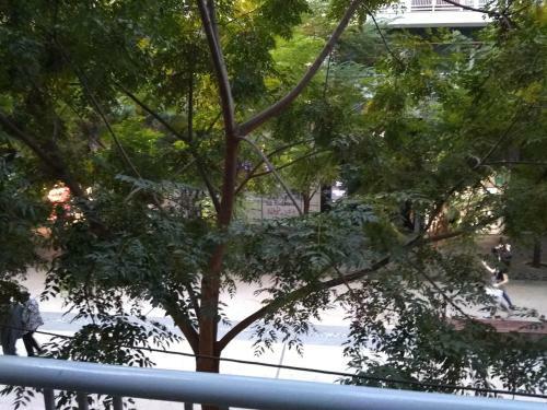 Apartamento Balcony Majestic View Citycenter Studio