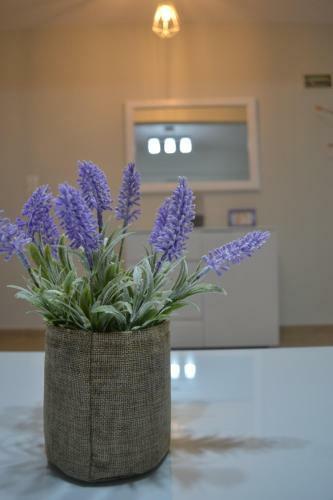 Apartamento La Petite Maison Nicole