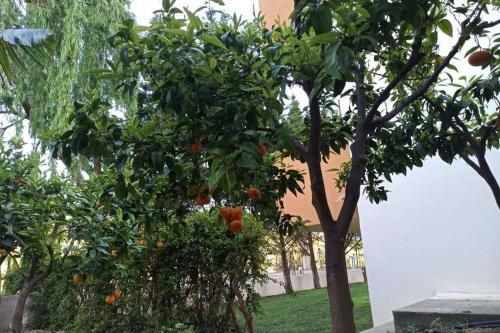 Apartamento Villa Malena Nature And Sea View