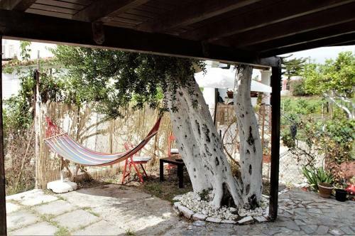 Apartamento Traditional Studio,agios Gordios