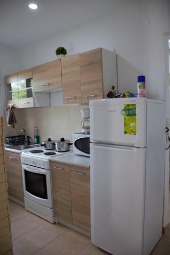 Apartamento Traditional Studio,agios Gordios