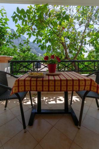 Villa Sophia Apartments By Corfuescapes