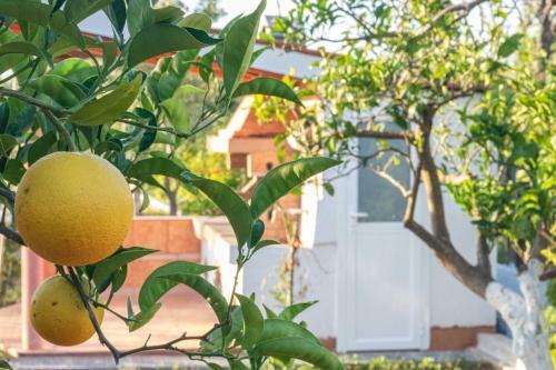 Apartamento Villa Despinaki