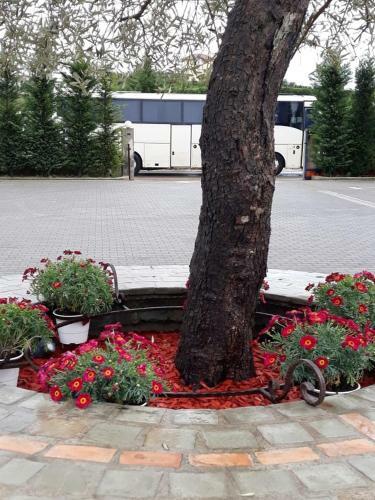 Drini Hotel
