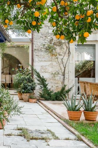 Villa Minimalist Stone Country House