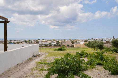 Private Villa Evgenia With Swimming Pool