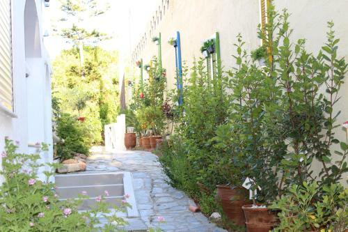 Carolina Apartments Crete
