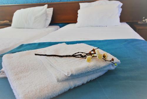 Ladikos Garden Hotel Faliraki