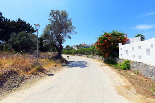 Apartment In Olive Grove