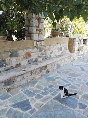 Apartment In Olive Grove