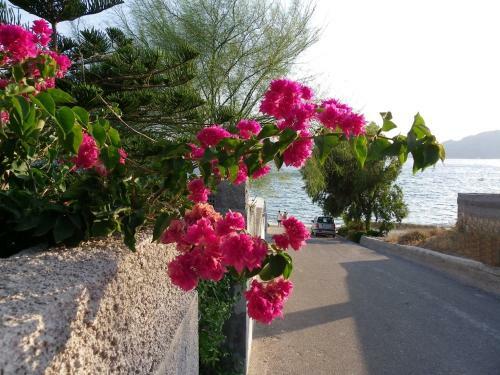 Pefkos Beachfront Villa