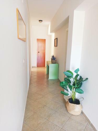 Dora's Apartments